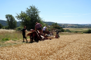 IMG_4577web