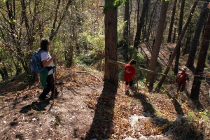 Herbstwanderung Ulfen-15-1080