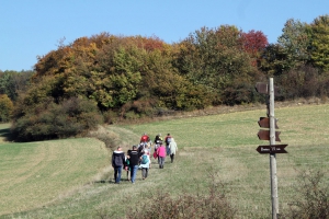 Herbstwanderung Ulfen-5-1080