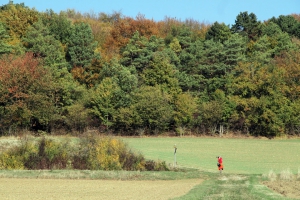 Herbstwanderung Ulfen-7-1080