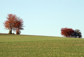 Herbstwanderung Ulfen-8-1080