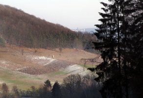 Wartburg hinterm Kielforst-1080