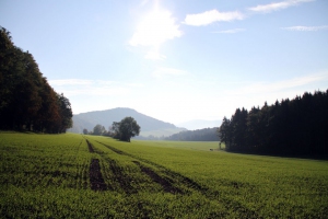 Blick-zum-Franzosen-Kopf-1080