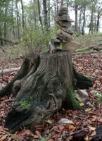 Baumstumpf-und-Steinmännchen-800