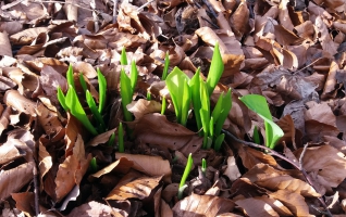 20200216_143939-1080