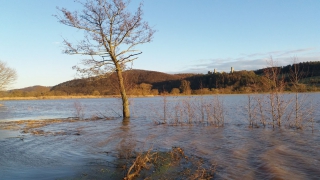 20200312_173248-1080