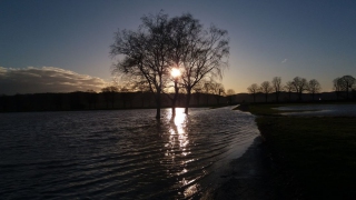 20200312_173306-1080