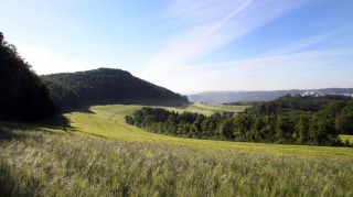 Franzosenkopf-am-Morgen-2-1080