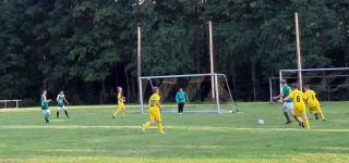 20210702_193243-Netra