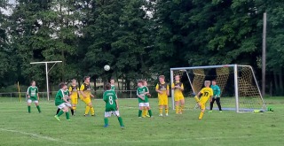 20210702_193740-Netra