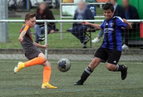 Reichensachsen-Linus-web