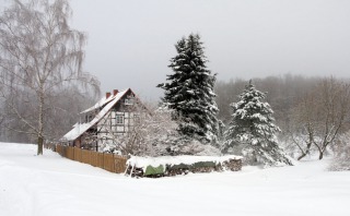 IMG_4316