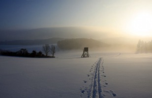 Raetselbild-5