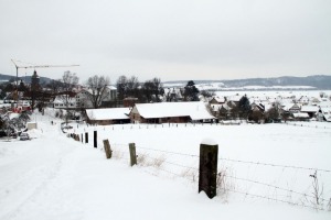 snowdown21-13