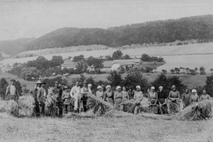 Ma_1920-Sandberg-Roggenernte-1200px