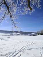 IMG-20210214-WA0000wiha