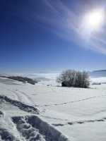 IMG-20210214-WA0001wiha