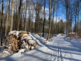 IMG-20210221-WA0000webromue