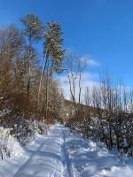 IMG-20210221-WA0003romue