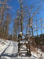 IMG-20210221-WA0011romue