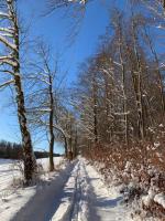 IMG-20210221-WA0012romue