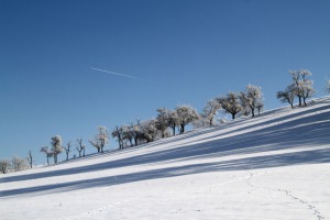 IMG_3469web