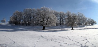 IMG_3471web