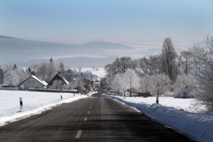 IMG_3499web