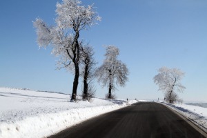 IMG_3510web