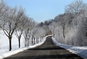 IMG_3516web