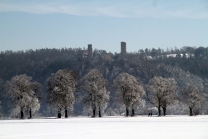 IMG_3590web