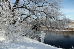 IMG_3635web