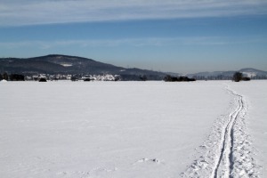 IMG_3659web