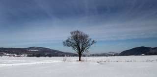 IMG_3693web