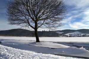 IMG_3734web