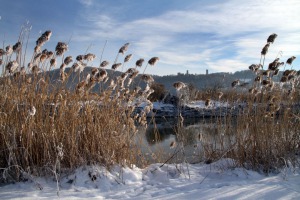 IMG_3745web