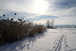 IMG_3748web