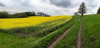 Himmelfahrt-2021-1
