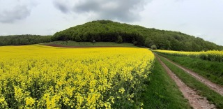 Himmelfahrt-2021-6
