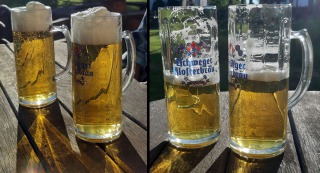 Bier-in-der-Sonne-web