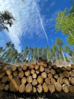 IMG-20210516-WA0003