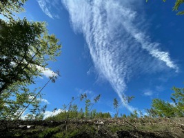 IMG-20210516-WA0004