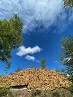 IMG-20210516-WA0006