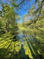 IMG-20210516-WA0008