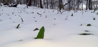 Wintermezzo-10