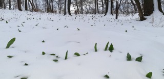 Wintermezzo-11
