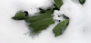 Wintermezzo-12