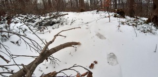 Wintermezzo-13