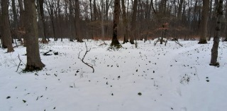 Wintermezzo-7