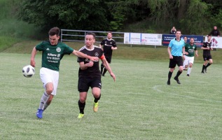 IMG_4310-web